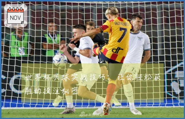 世界杯买球实战技巧：让你轻松获胜的投注秘密