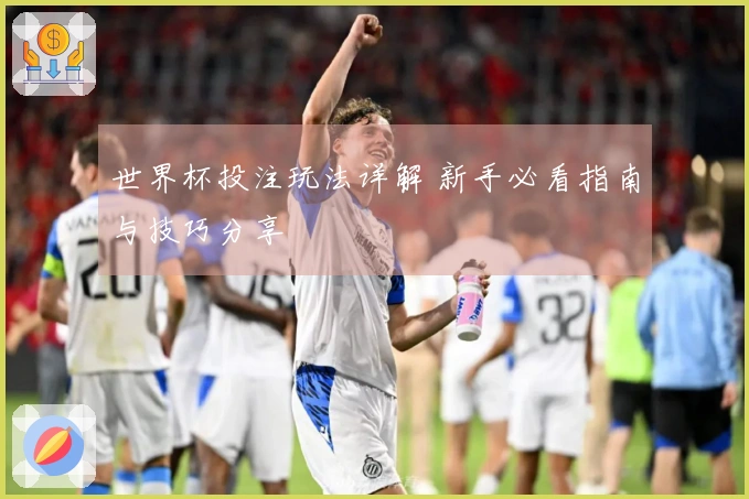 世界杯投注玩法详解 新手必看指南与技巧分享