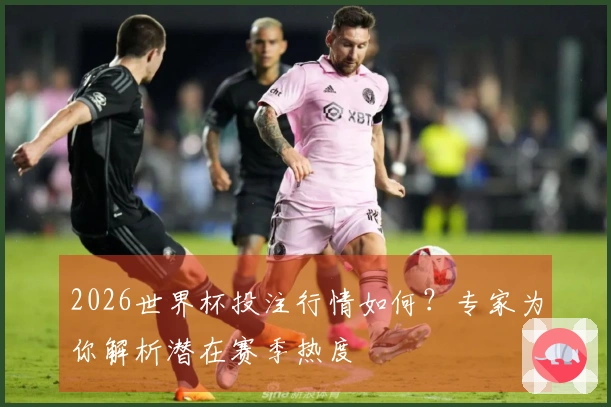 2026世界杯投注行情如何？专家为你解析潜在赛季热度
