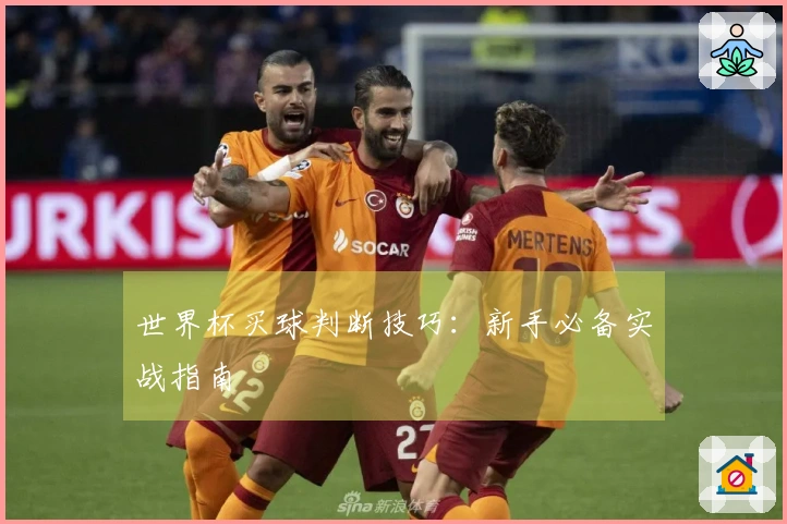 世界杯买球判断技巧：新手必备实战指南