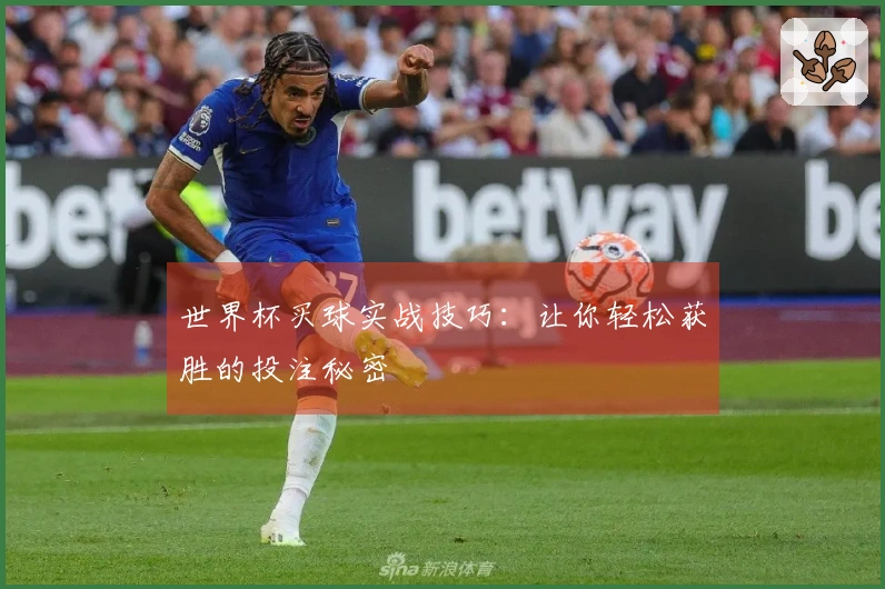 世界杯买球实战技巧：让你轻松获胜的投注秘密
