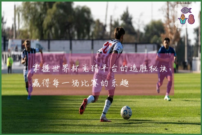 掌握世界杯竞猜平台的选胜秘诀，赢得每一场比赛的乐趣