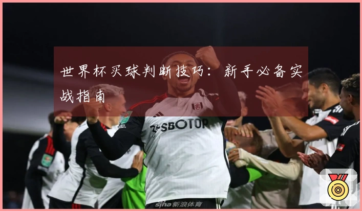 世界杯买球判断技巧：新手必备实战指南