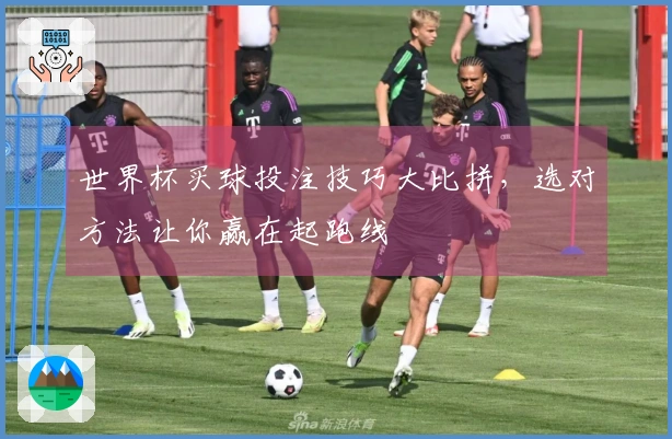 世界杯买球投注技巧大比拼，选对方法让你赢在起跑线