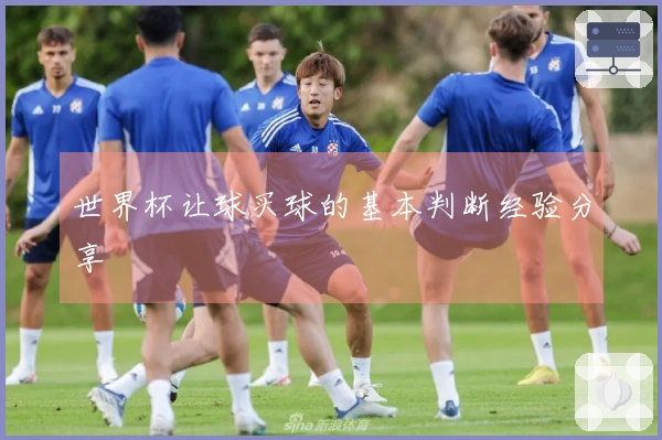 世界杯让球买球的基本判断经验分享