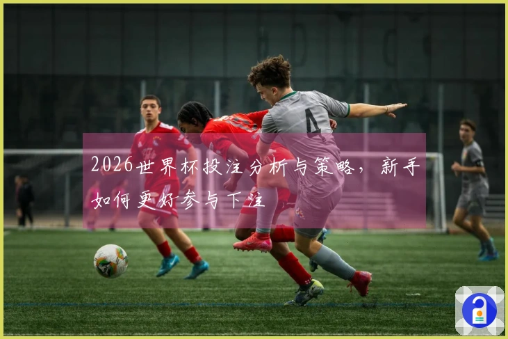 2026世界杯投注分析与策略，新手如何更好参与下注
