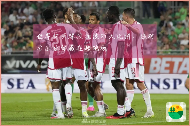 世界杯买球投注技巧大比拼，选对方法让你赢在起跑线