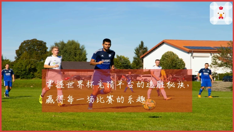掌握世界杯竞猜平台的选胜秘诀，赢得每一场比赛的乐趣