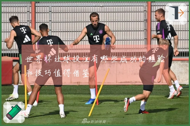 世界杯让球投注有哪些成功的经验和技巧值得借鉴